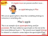Possessive Apostrophes - Years 3 and 4 Teaching Resources (slide 6/19)